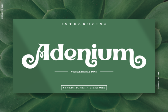 Adenium: A Display Font That Elevates Editorial Design